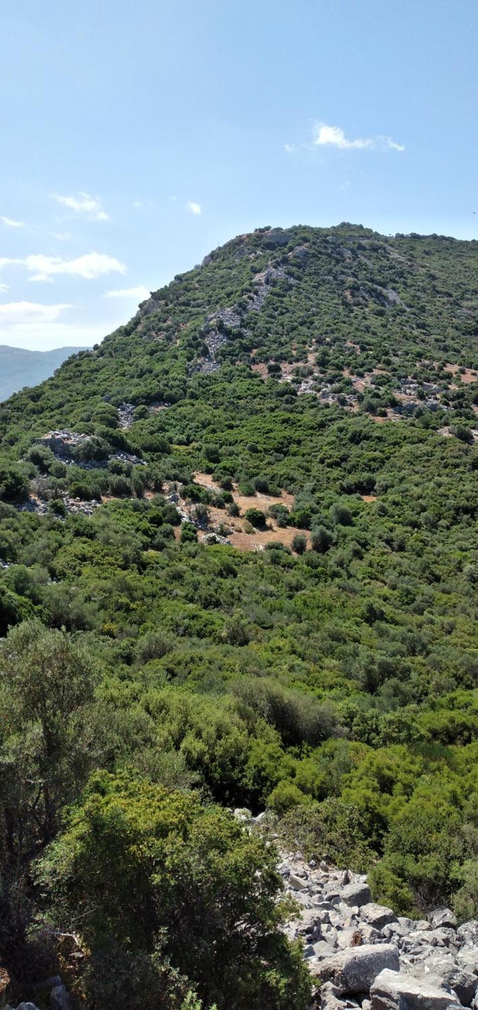 Ephesus Selcuk Castle View Suites Εξωτερικό φωτογραφία