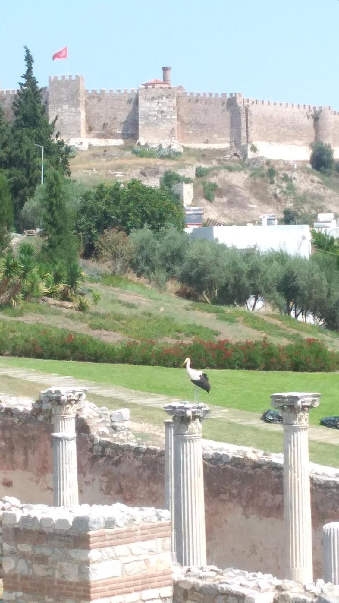 Ephesus Selcuk Castle View Suites Εξωτερικό φωτογραφία